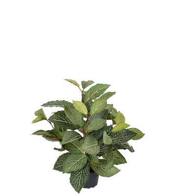 Mr Plant Pitsilehti tekokasvi