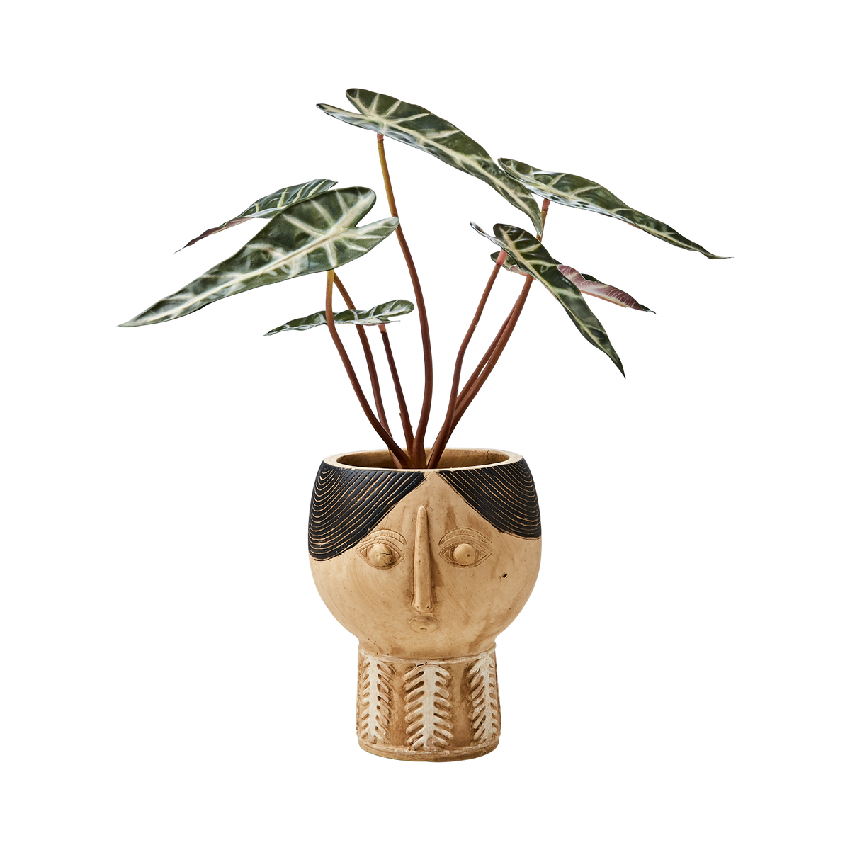 Camille Kasvo ruukku, kolme kokoa