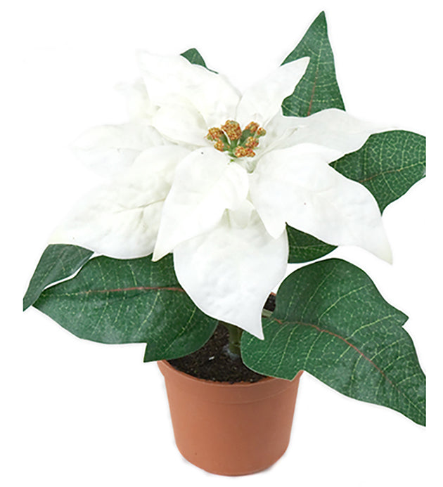 Mr Plant tekokukka Joulutähti valkoinen 15 cm