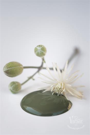 Vintage Paint Olive Green 100 ml