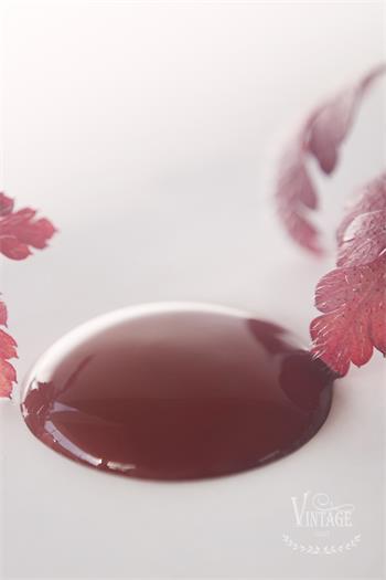 Vintage Paint Rusty Red 100 ml