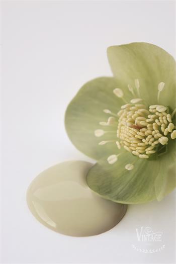 Vintage Paint Antique Green 100 ml