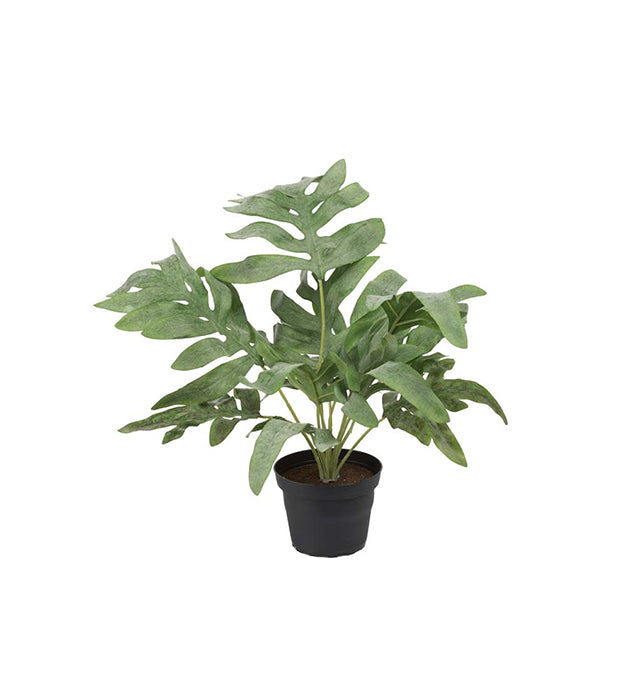 Mr Plant tekokasvi Saniainen 30 cm